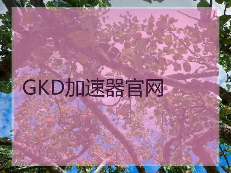 GKD加速器官网