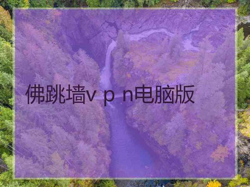 佛跳墙v p n电脑版