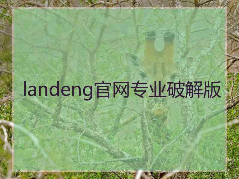 landeng官网专业破解版
