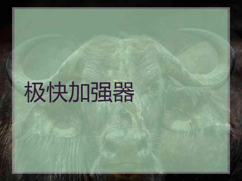 极快加强器