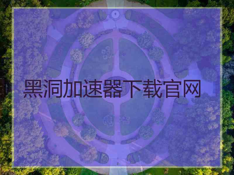 黑洞加速器下载官网