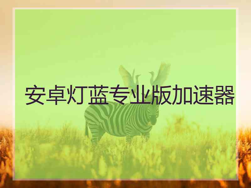 安卓灯蓝专业版加速器