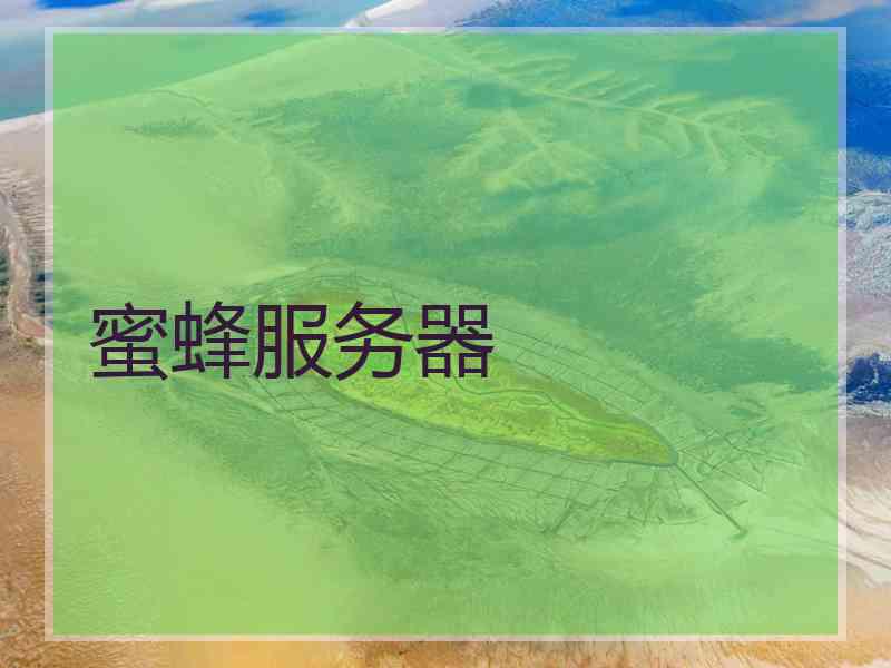 蜜蜂服务器