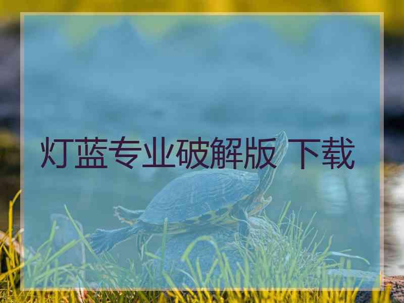 灯蓝专业破解版 下载