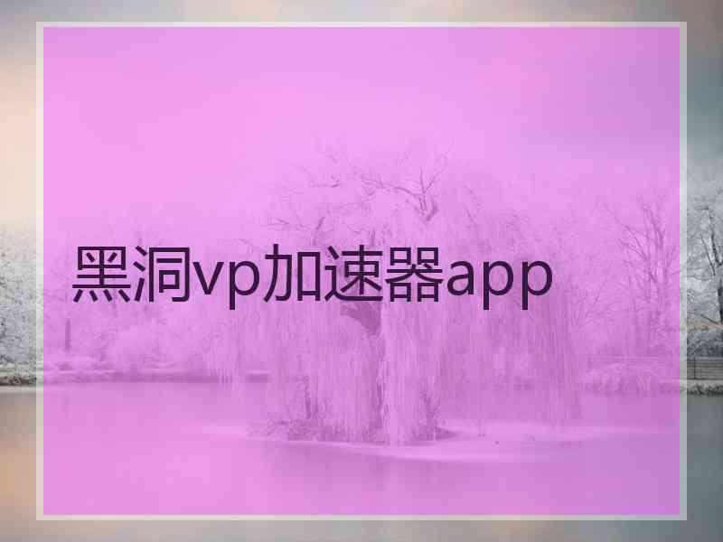 黑洞vp加速器app