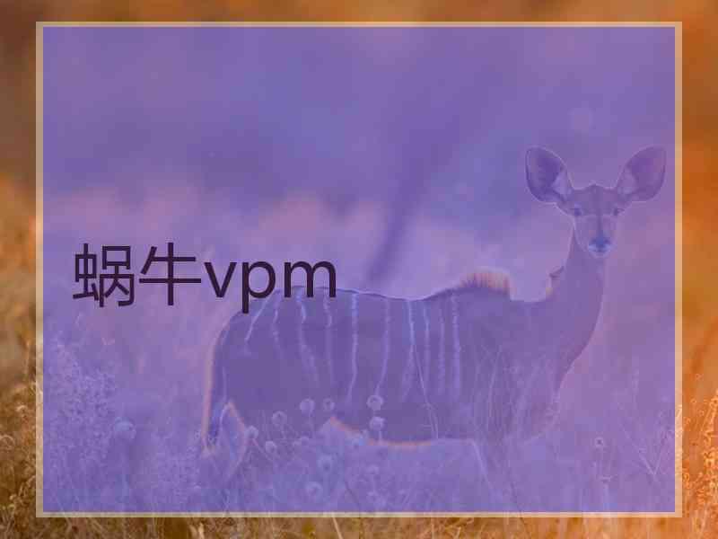 蜗牛vpm