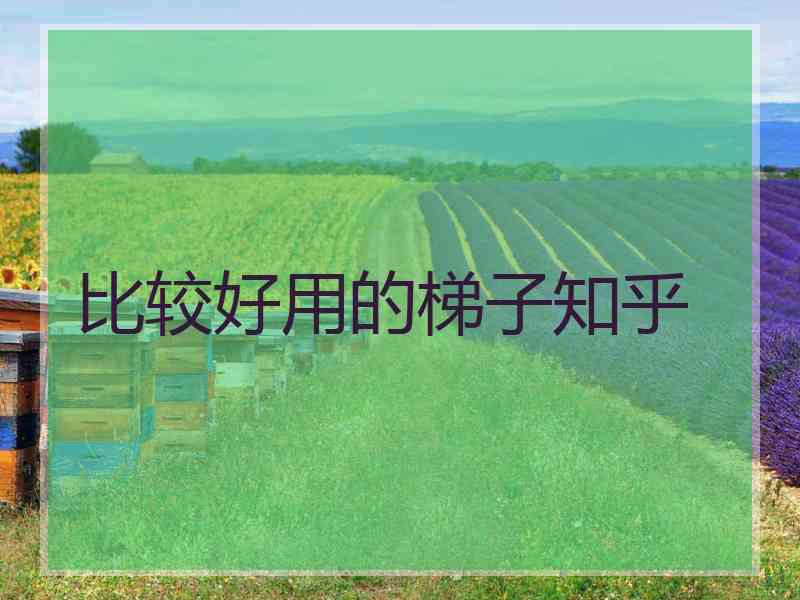 比较好用的梯子知乎