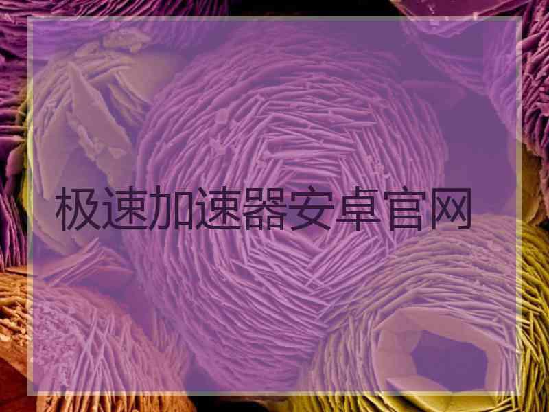 极速加速器安卓官网