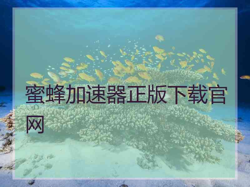 蜜蜂加速器正版下载官网