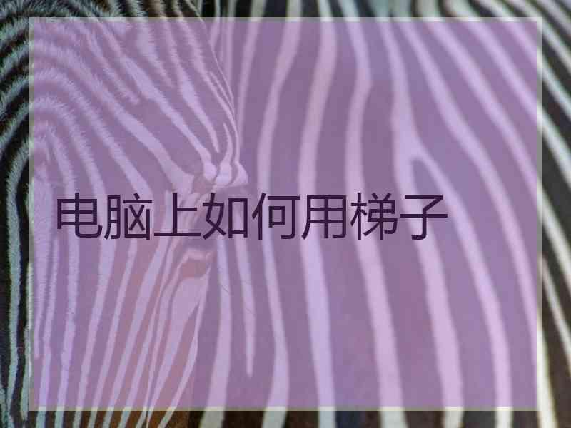 电脑上如何用梯子