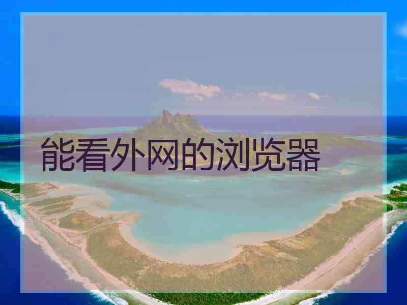 能看外网的浏览器