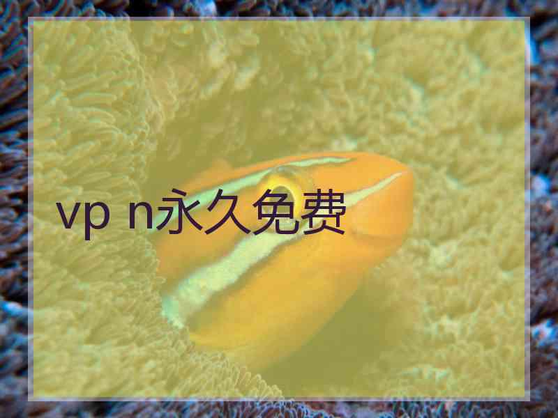 vp n永久免费