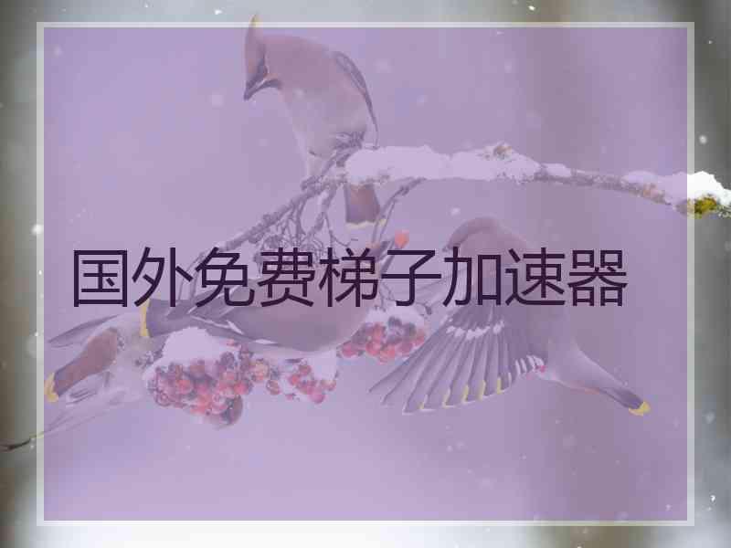国外免费梯子加速器