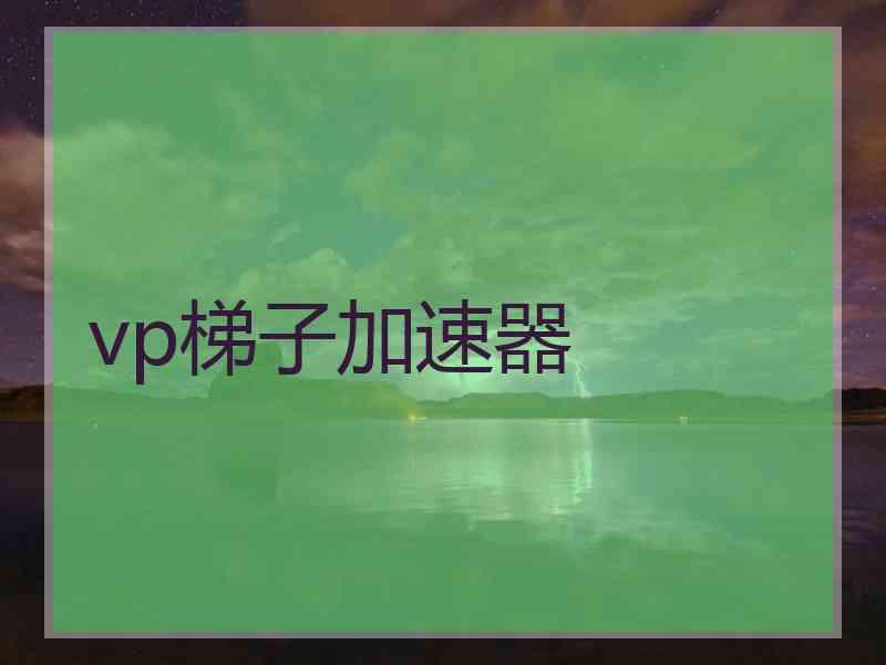 vp梯子加速器
