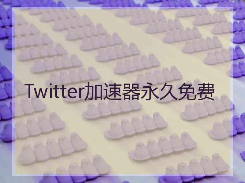 Twitter加速器永久免费