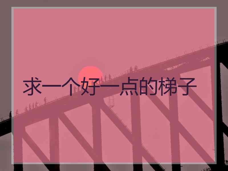 求一个好一点的梯子