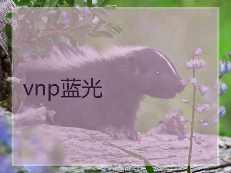 vnp蓝光
