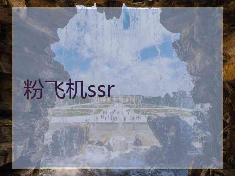 粉飞机ssr