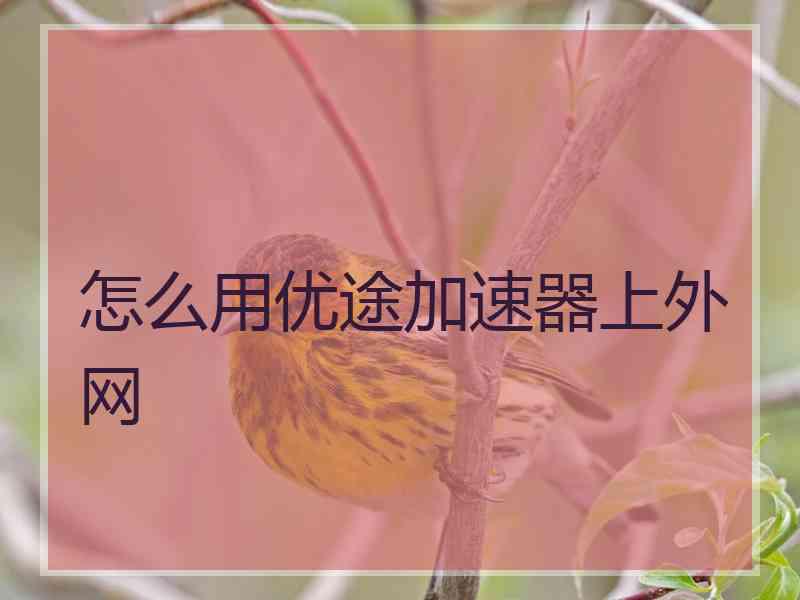 怎么用优途加速器上外网