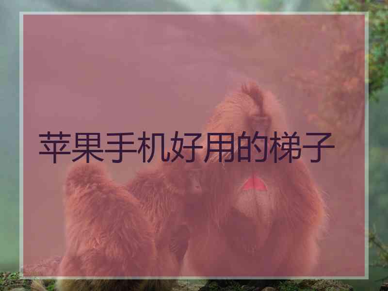 苹果手机好用的梯子