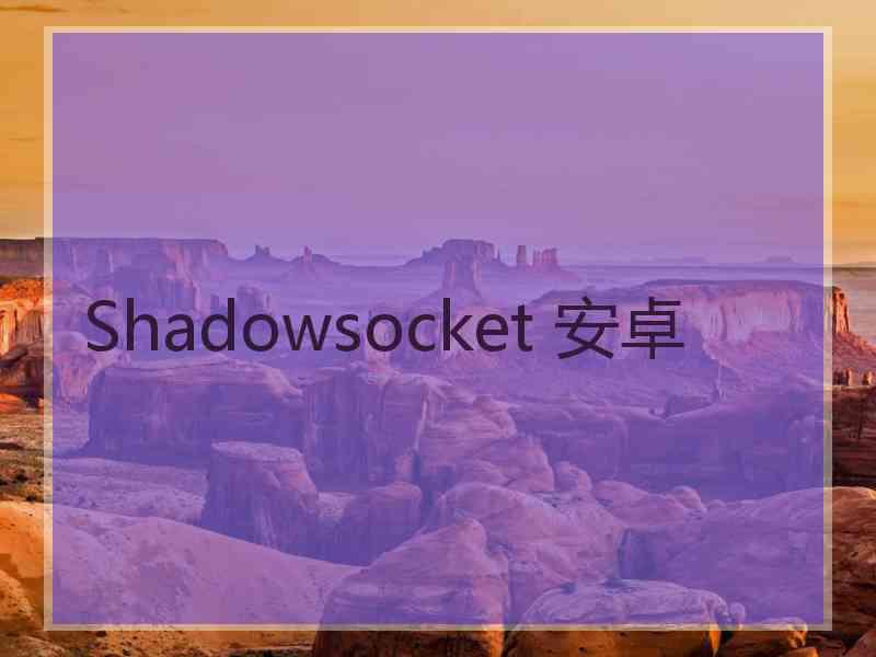 Shadowsocket 安卓