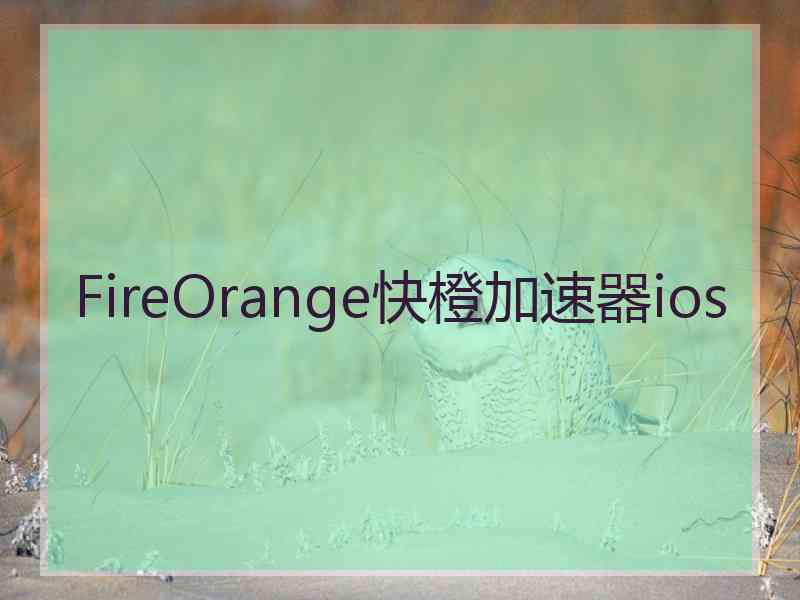 FireOrange快橙加速器ios
