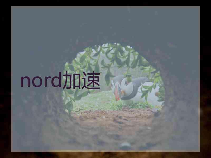 nord加速