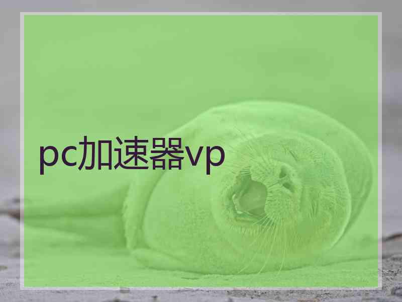 pc加速器vp