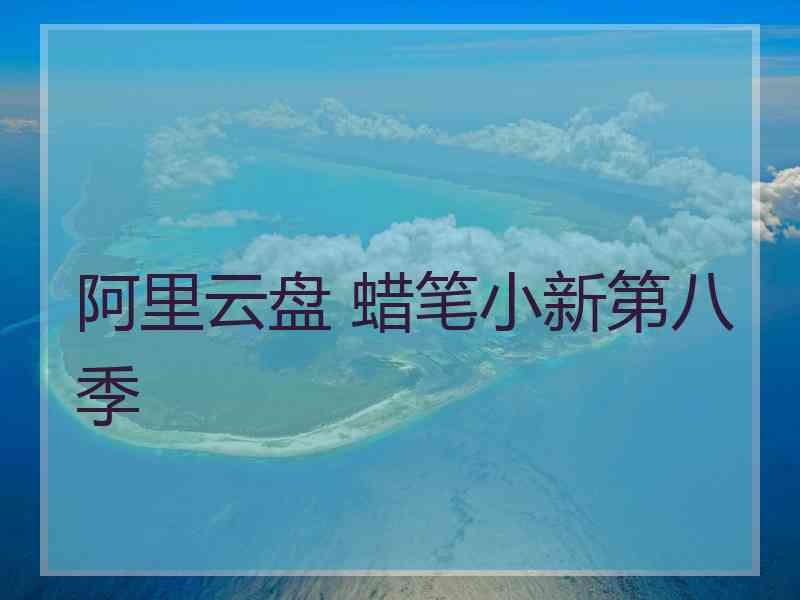 阿里云盘 蜡笔小新第八季