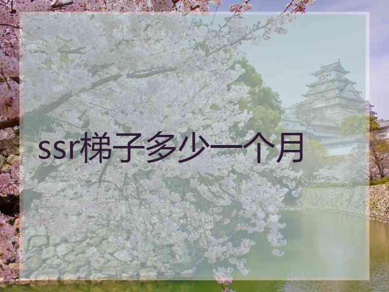 ssr梯子多少一个月