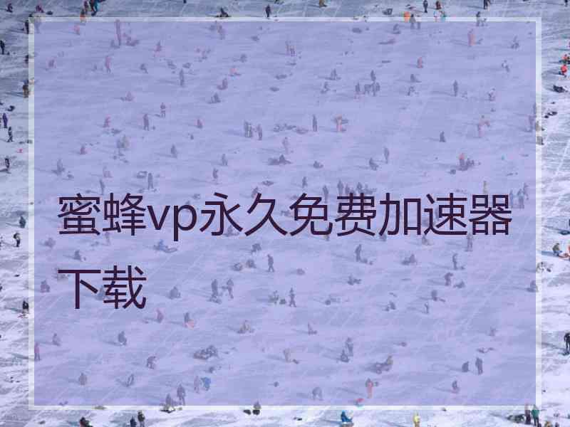蜜蜂vp永久免费加速器下载