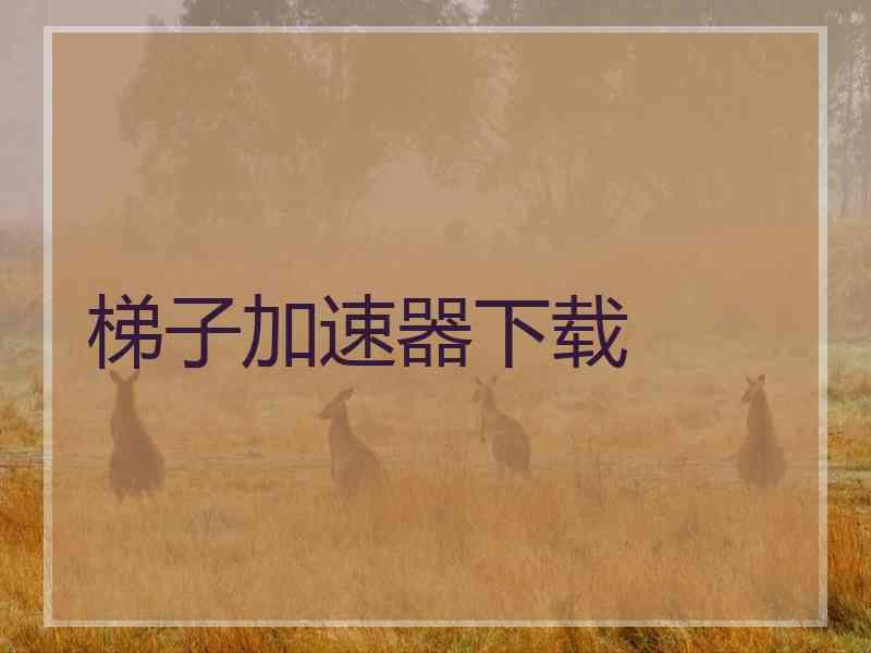梯子加速器下载