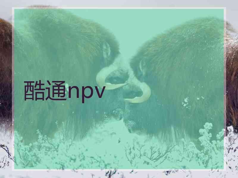 酷通npv