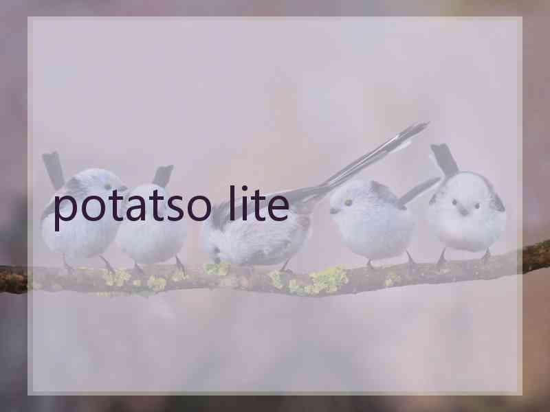potatso lite