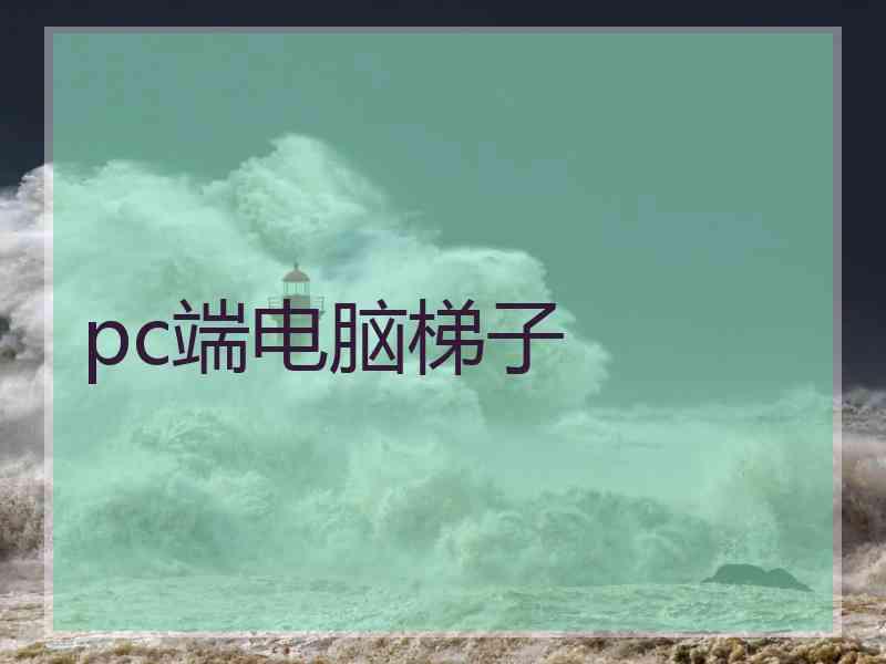 pc端电脑梯子