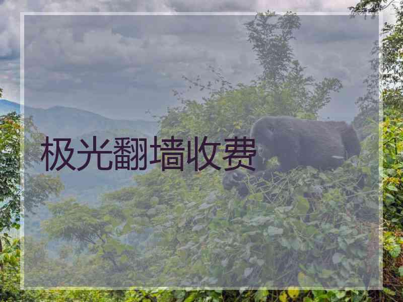 极光翻墙收费