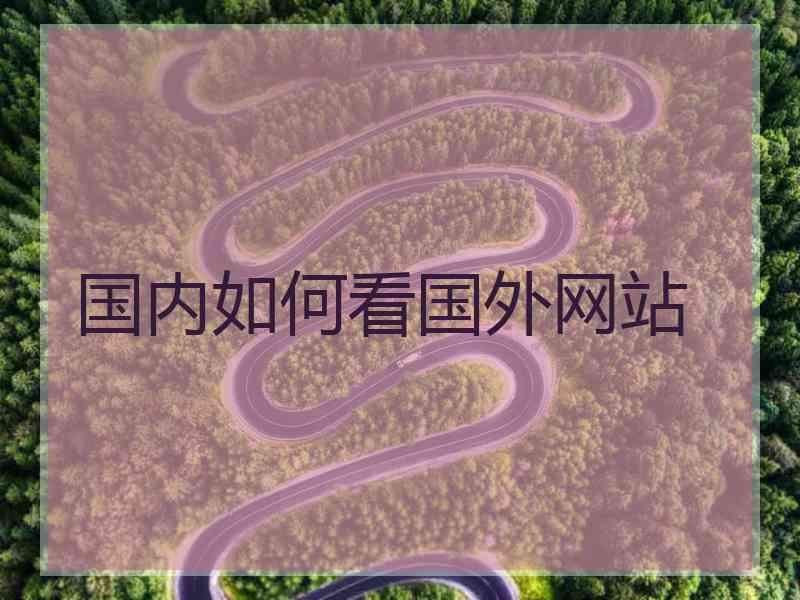 国内如何看国外网站
