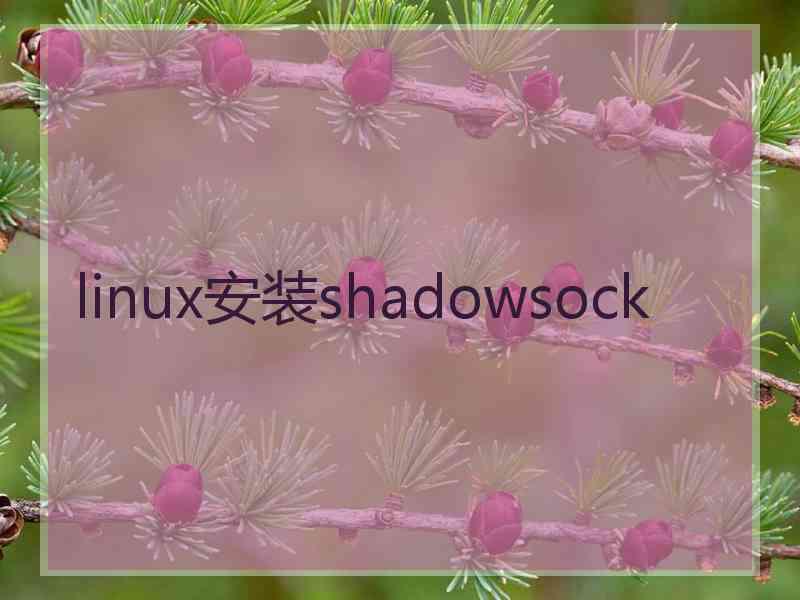 linux安装shadowsock