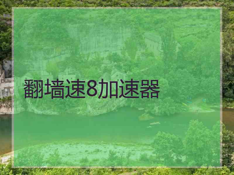 翻墙速8加速器