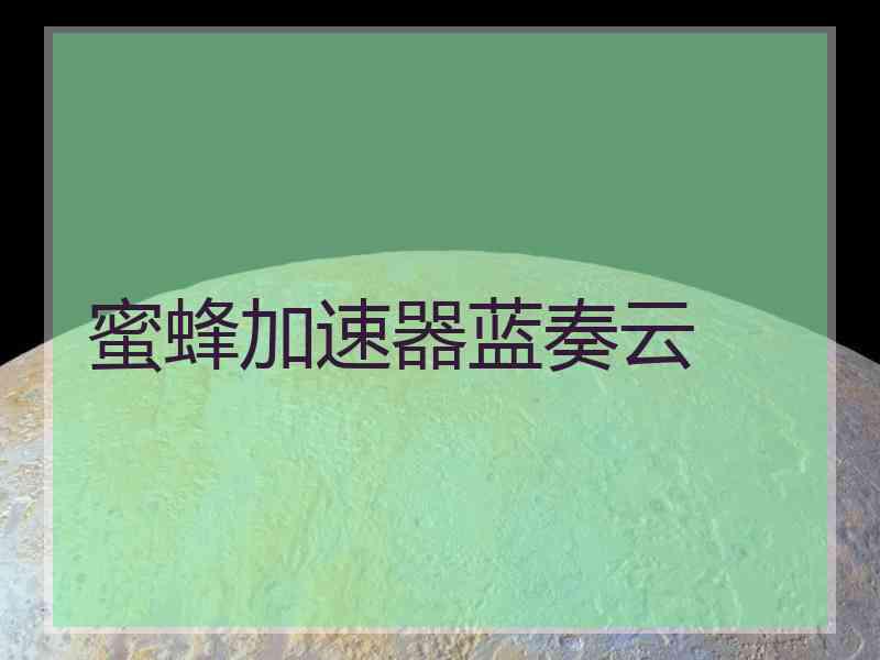 蜜蜂加速器蓝奏云