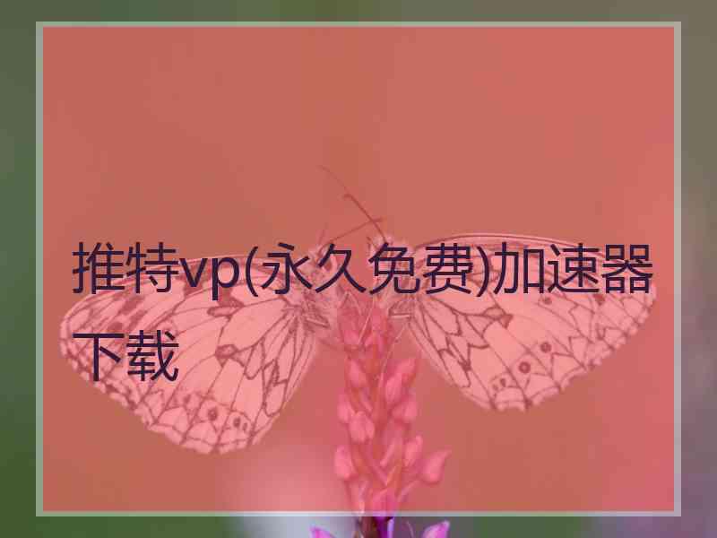 推特vp(永久免费)加速器下载