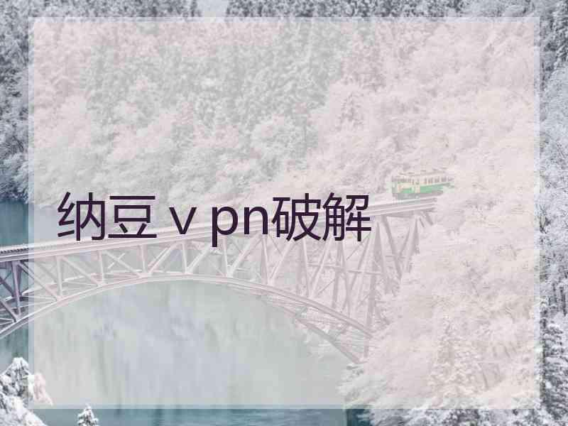 纳豆ⅴpn破解