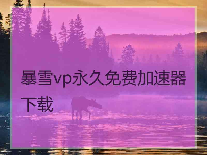 暴雪vp永久免费加速器下载