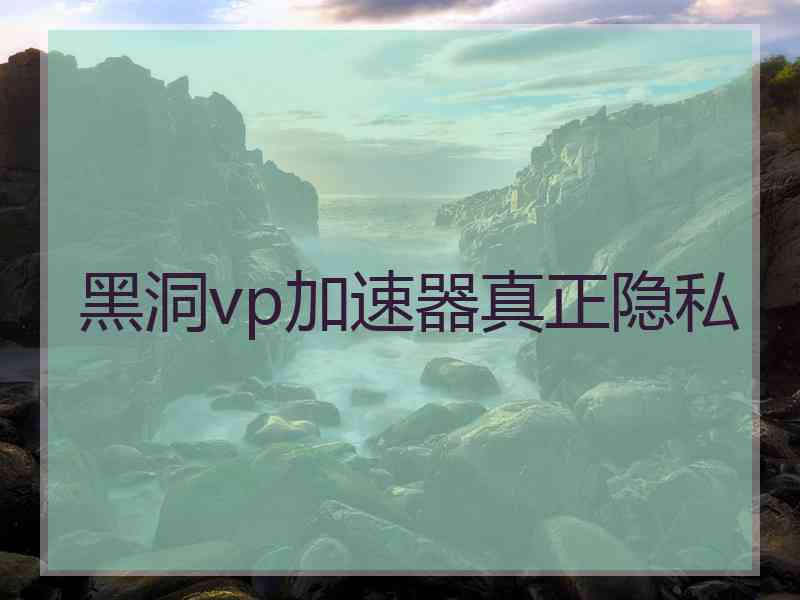 黑洞vp加速器真正隐私