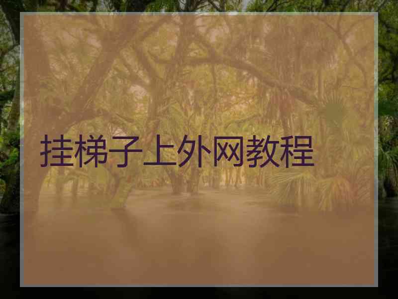挂梯子上外网教程