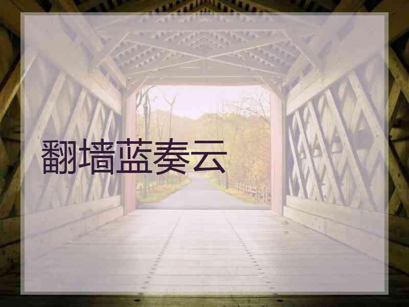 翻墙蓝奏云