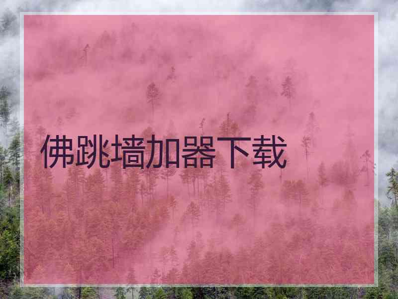 佛跳墙加器下载