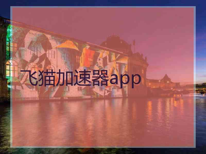 飞猫加速器app