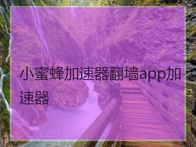 小蜜蜂加速器翻墙app加速器