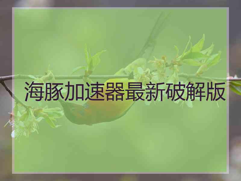 海豚加速器最新破解版